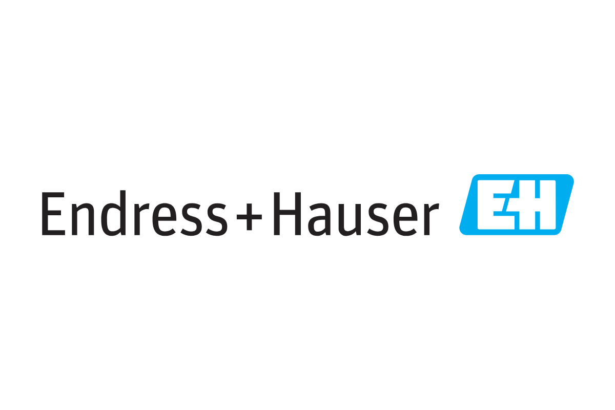 Endress-hauser